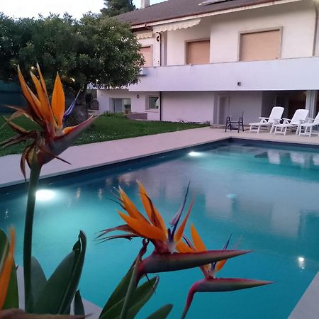 הוילה רוסוליני Zacchitella Garden House מראה חיצוני תמונה