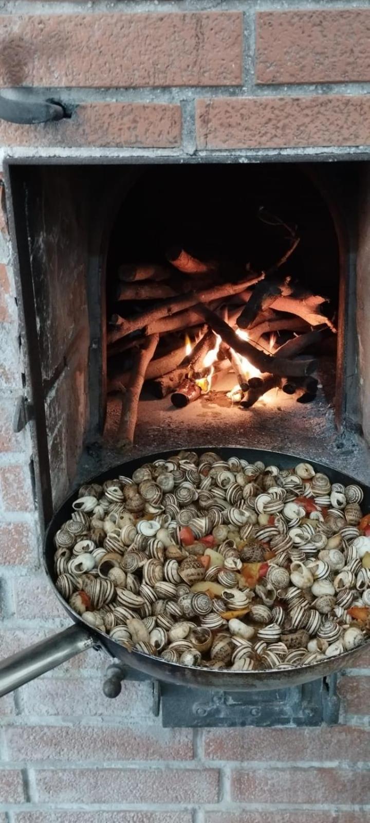 הוילה רוסוליני Zacchitella Garden House מראה חיצוני תמונה