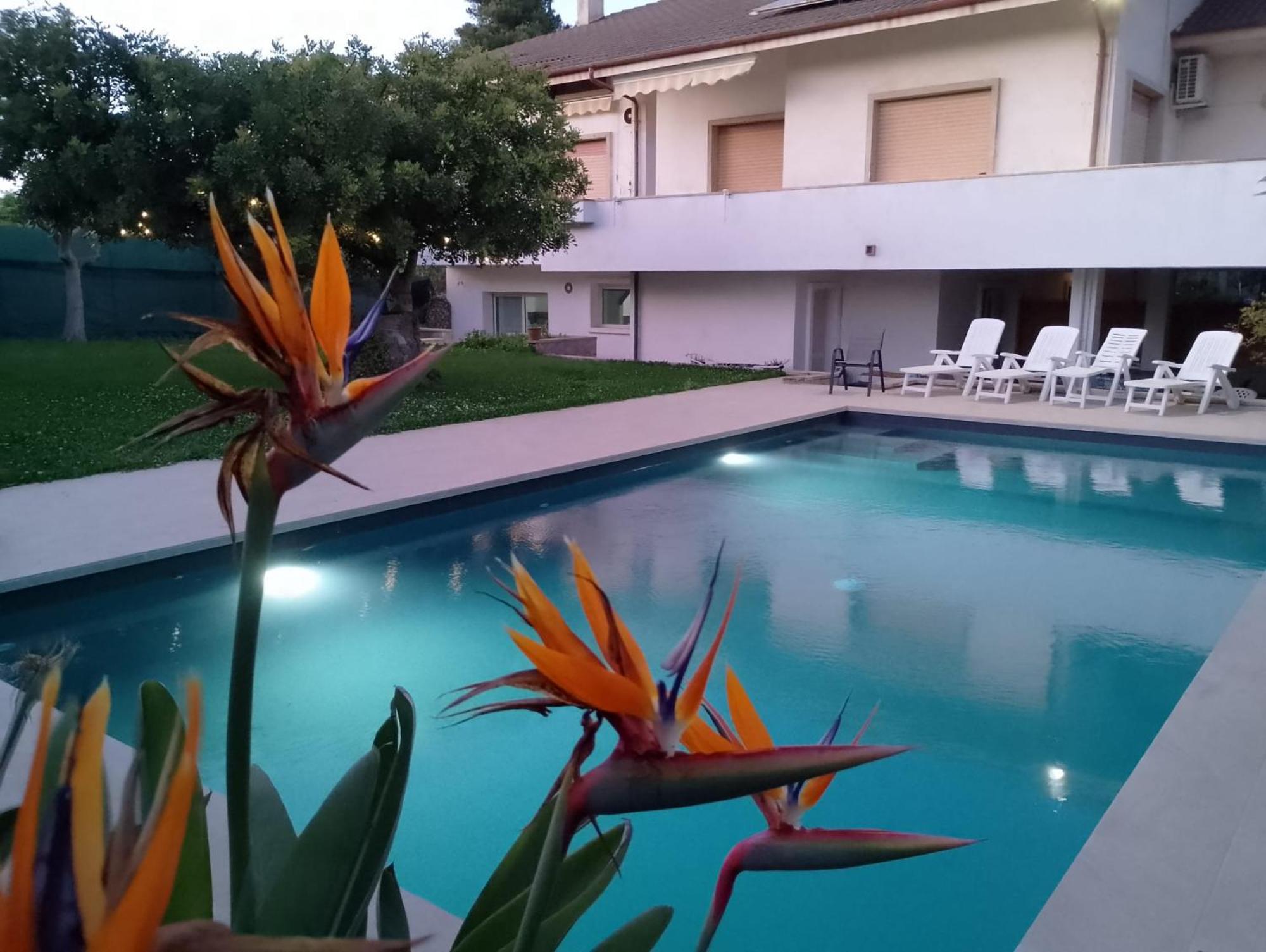 הוילה רוסוליני Zacchitella Garden House מראה חיצוני תמונה